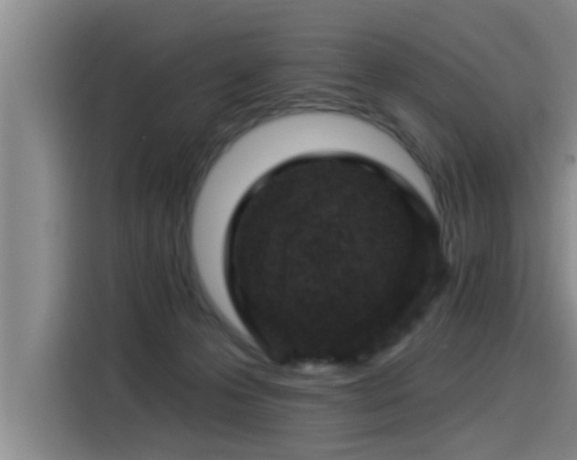 X0000115250223200911061225