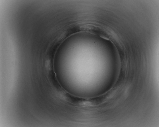 X0000115250224200911061225