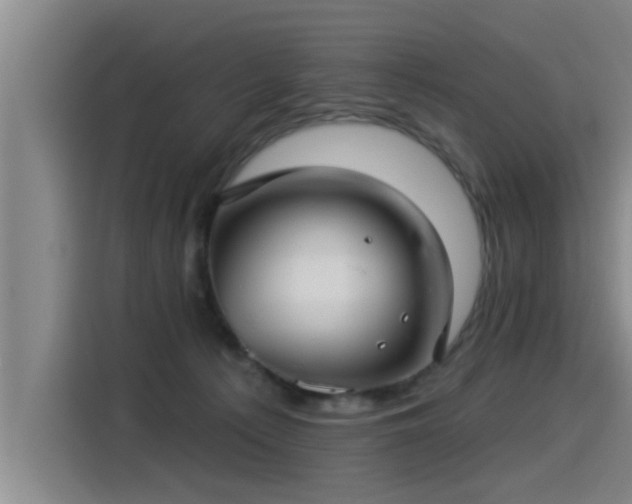 X0000115250225200911061225
