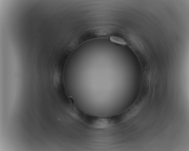 X0000115250227200911061225