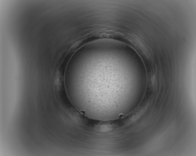 X0000115250228200911061225