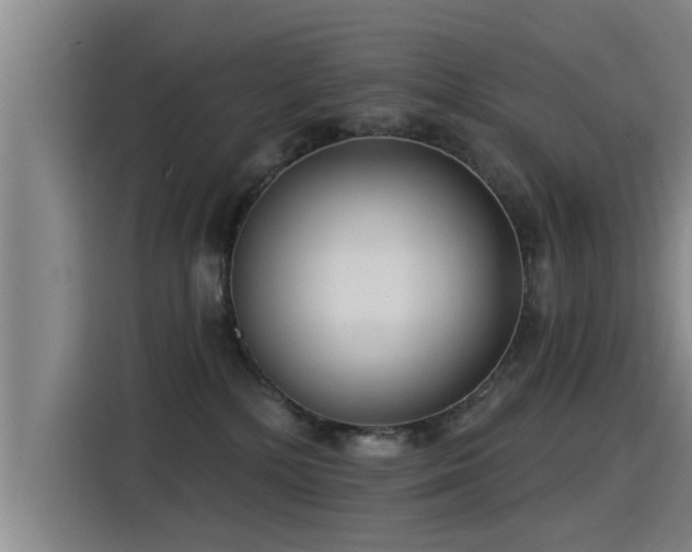 X0000115250232200911061225