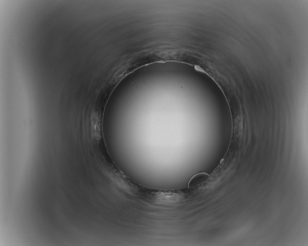 X0000115250234200911061225