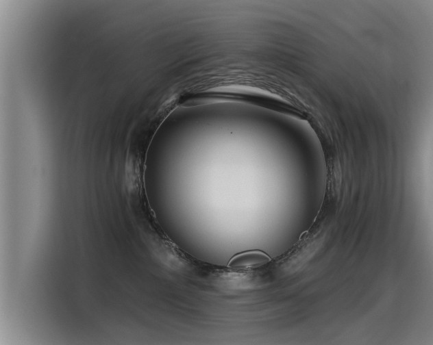 X0000115250236200911061225
