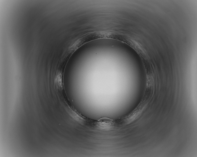 X0000115250238200911061225