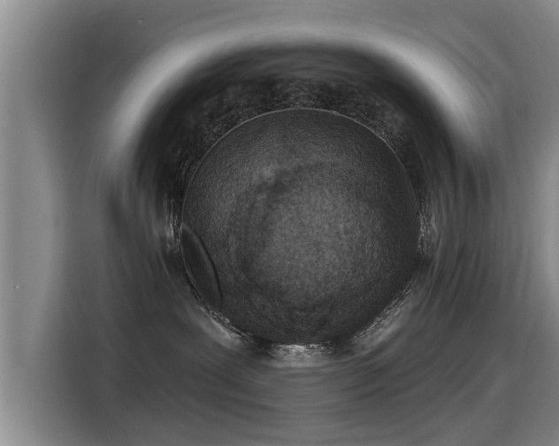 X0000115250239200911061225