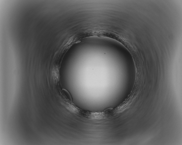 X0000115250240200911061225