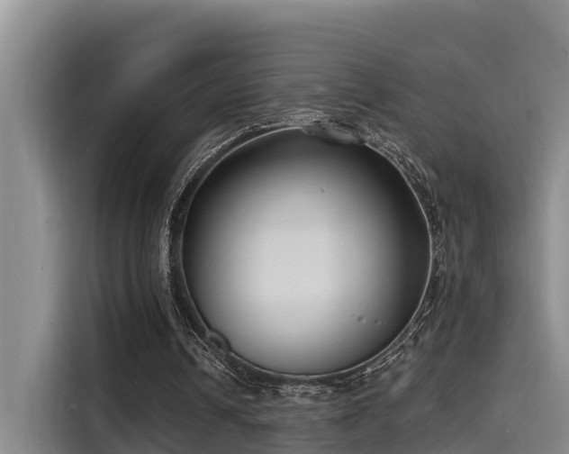 X0000115250242200911061224