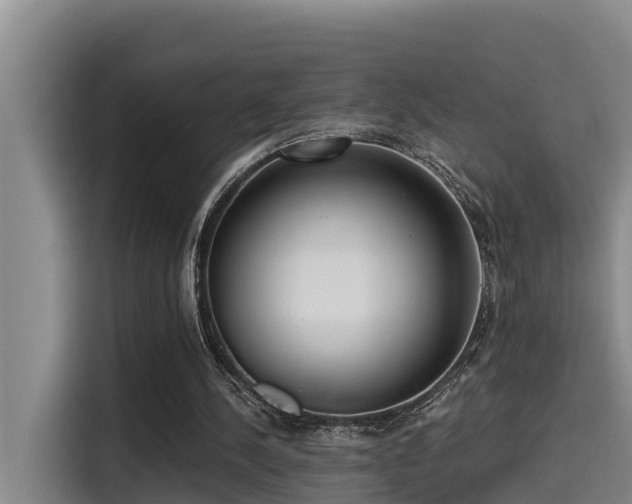 X0000115250244200911061224