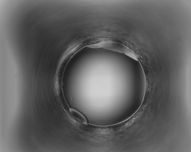 X0000115250245200911061224