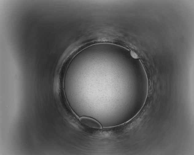 X0000115250247200911061224