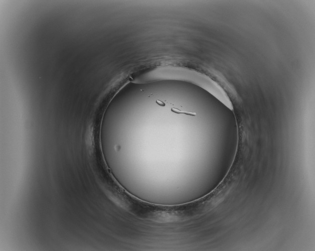 X0000115250250200911061224