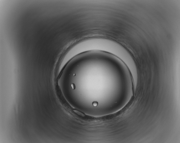 X0000115250252200911061224