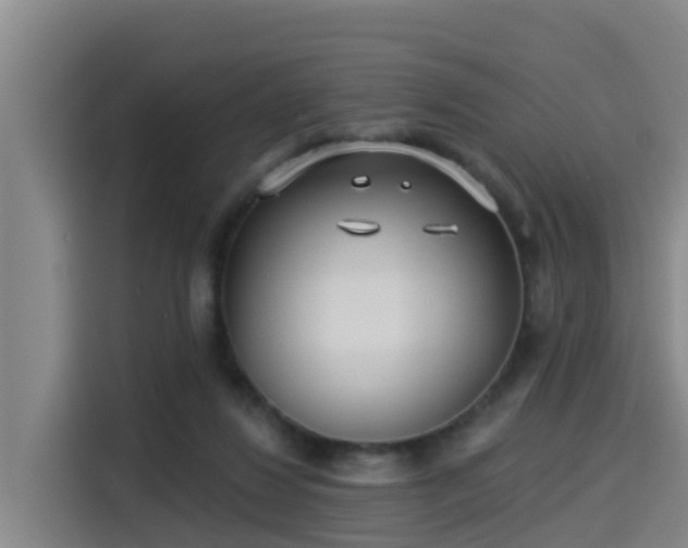 X0000115250260200911061224
