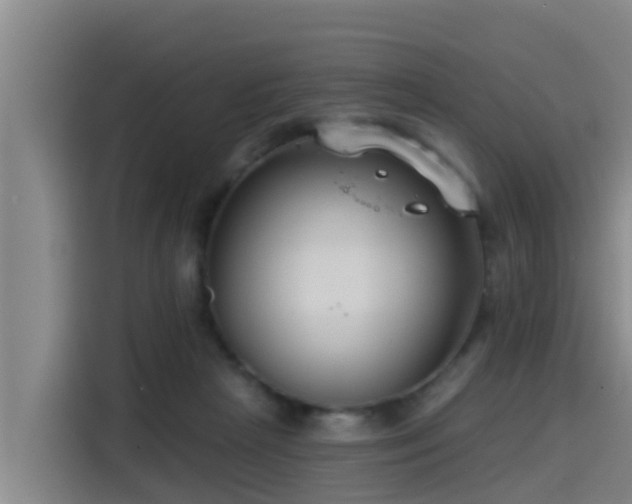 X0000115250265200911061224