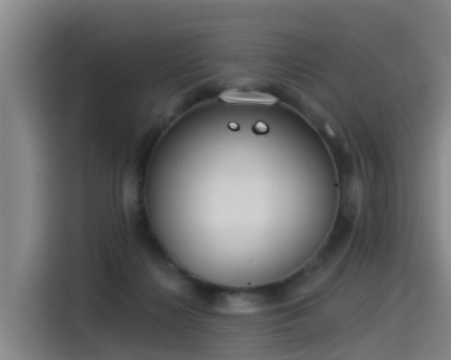 X0000115250268200911061224