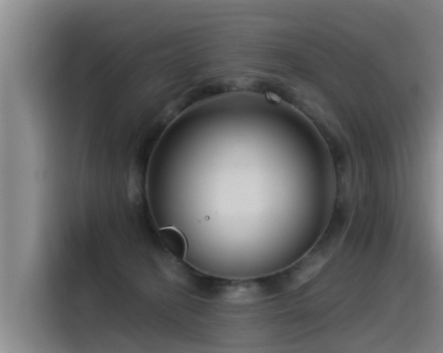 X0000115250274200911061225