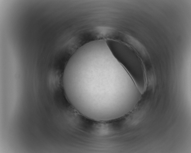 X0000115250276200911061225