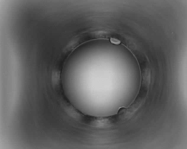 X0000115250278200911061225