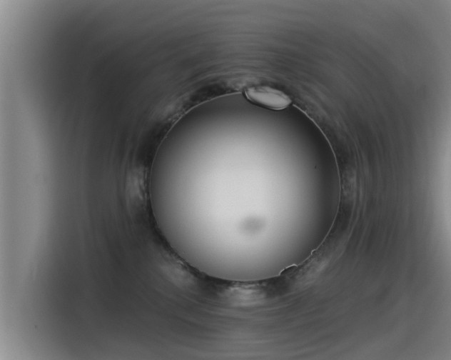 X0000115250280200911061225