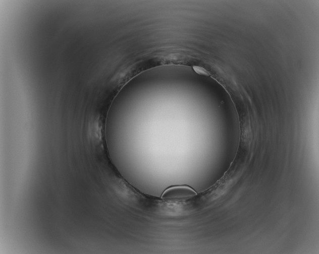 X0000115250282200911061225