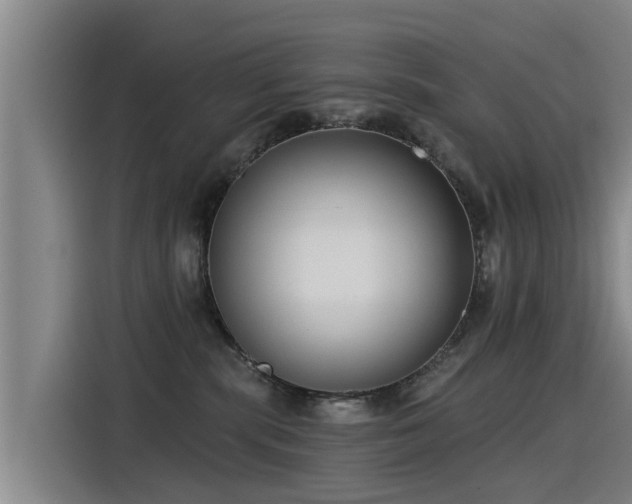 X0000115250283200911061225
