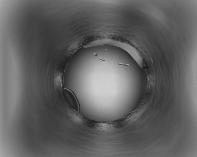 X0000115250286200911061225