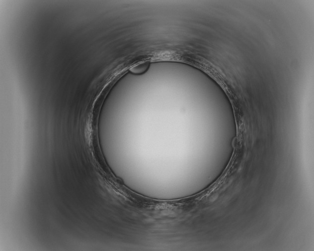 X0000115250290200911061224