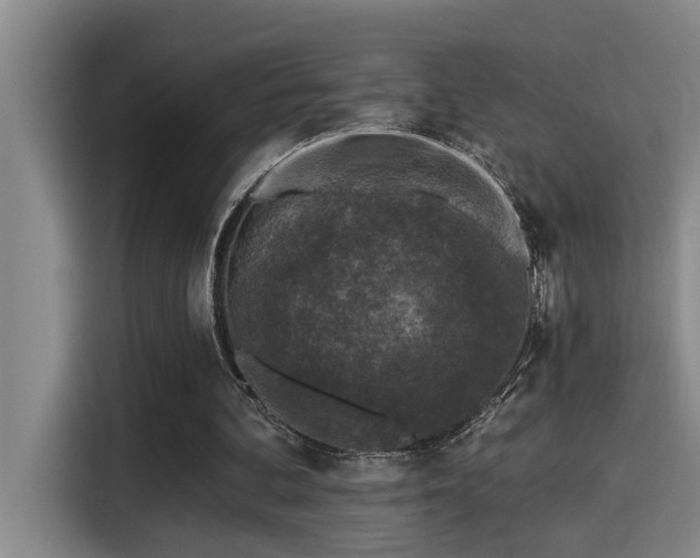 X0000115250292200911061224