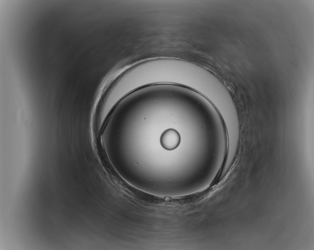 X0000115250294200911061224