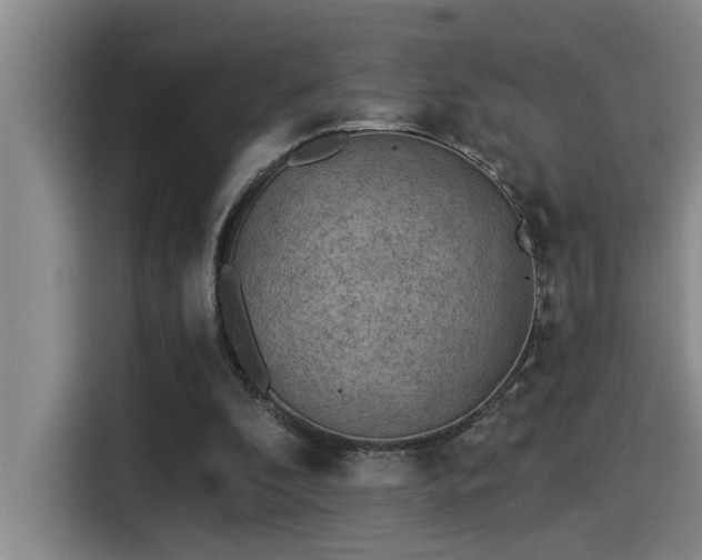 X0000115250296200911061224