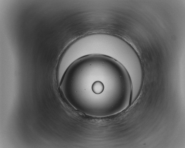 X0000115250297200911061224