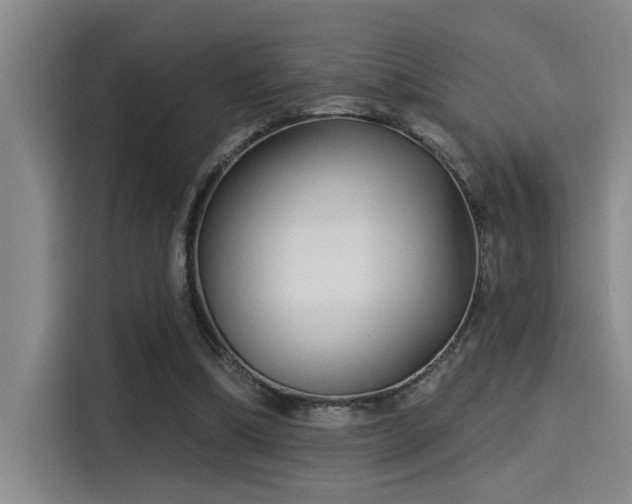 X0000115250298200911061224