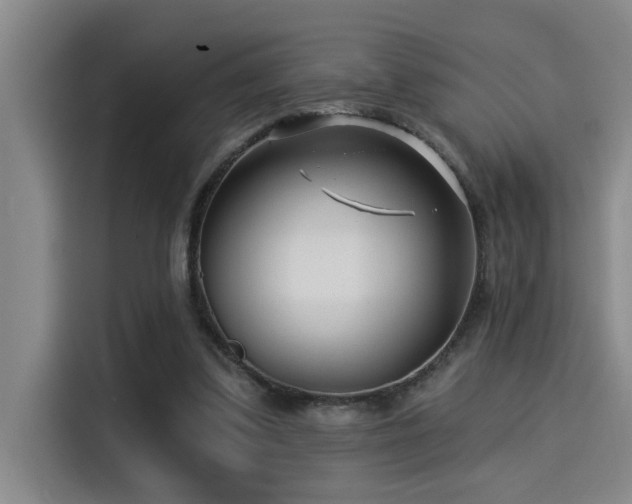 X0000115250299200911061224