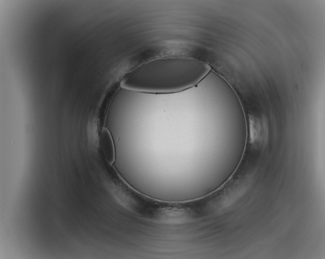X0000115250300200911061224