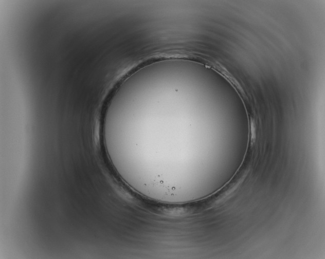 X0000115250301200911061224