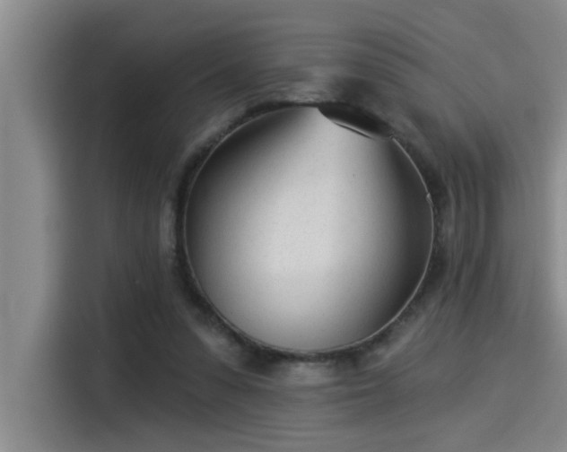 X0000115250303200911061224