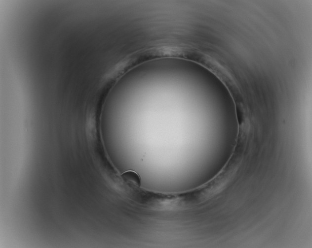 X0000115250306200911061224