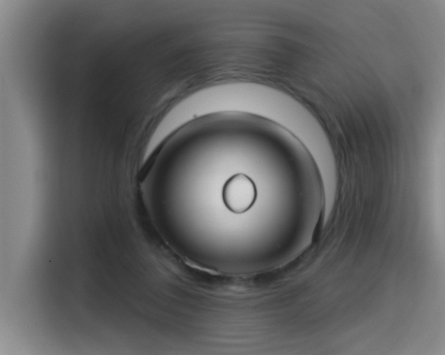 X0000115250308200911061224
