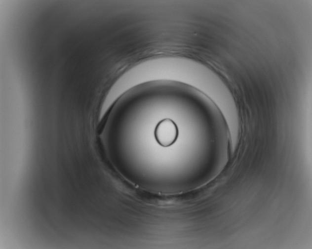 X0000115250309200911061224