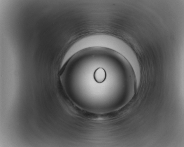 X0000115250312200911061224