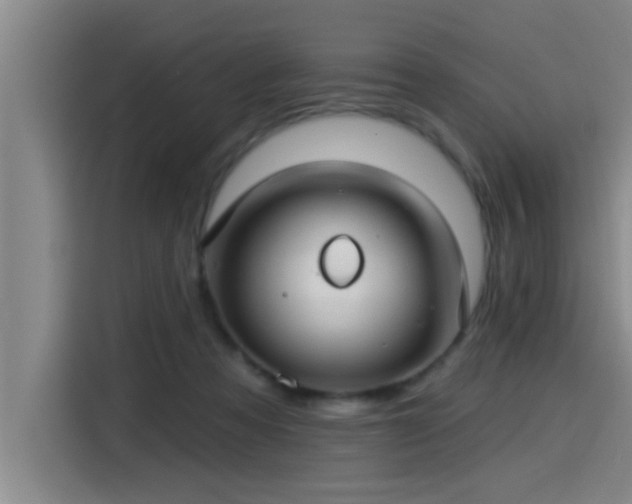 X0000115250313200911061224