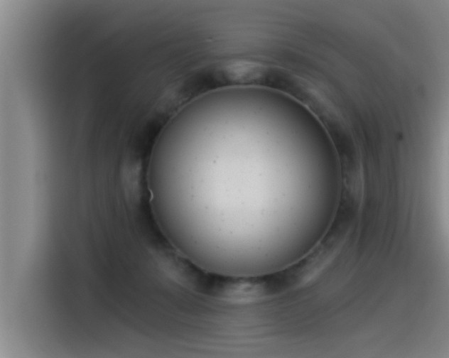 X0000115250319200911061224