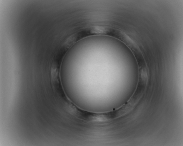 X0000115250322200911061224
