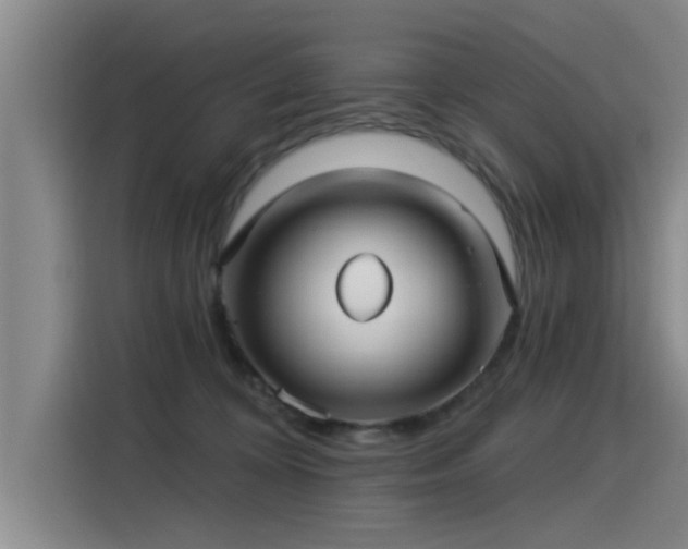 X0000115250324200911061224
