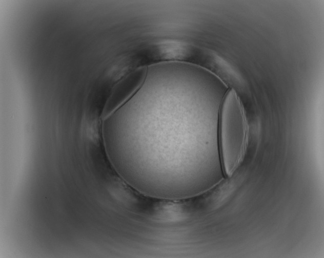 X0000115250325200911061224