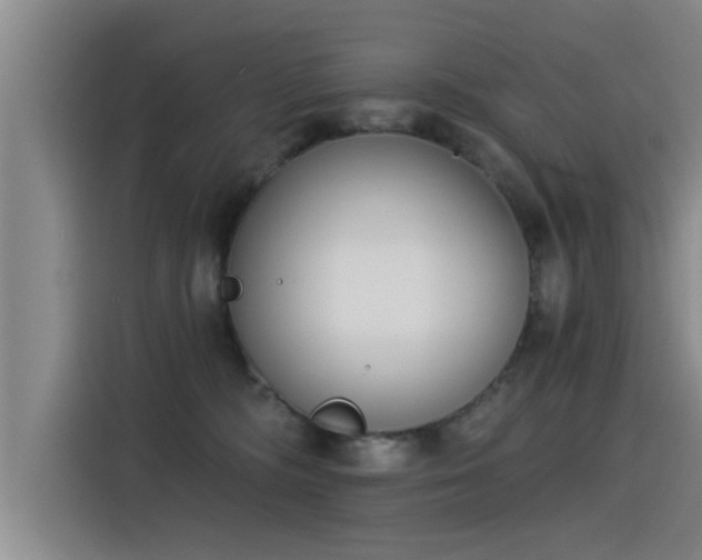 X0000115250326200911061224