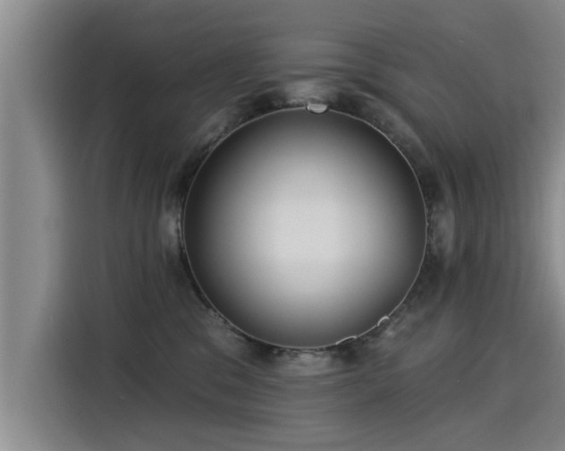 X0000115250329200911061224