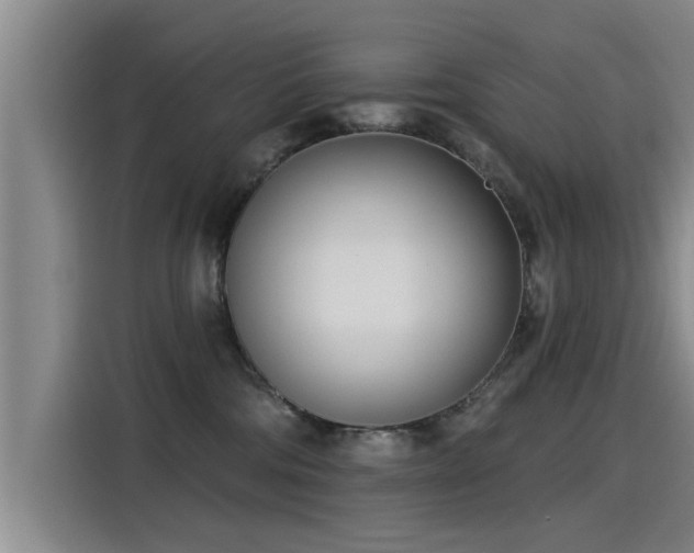 X0000115250330200911061224
