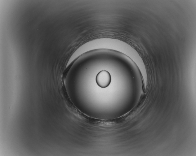 X0000115250332200911061224
